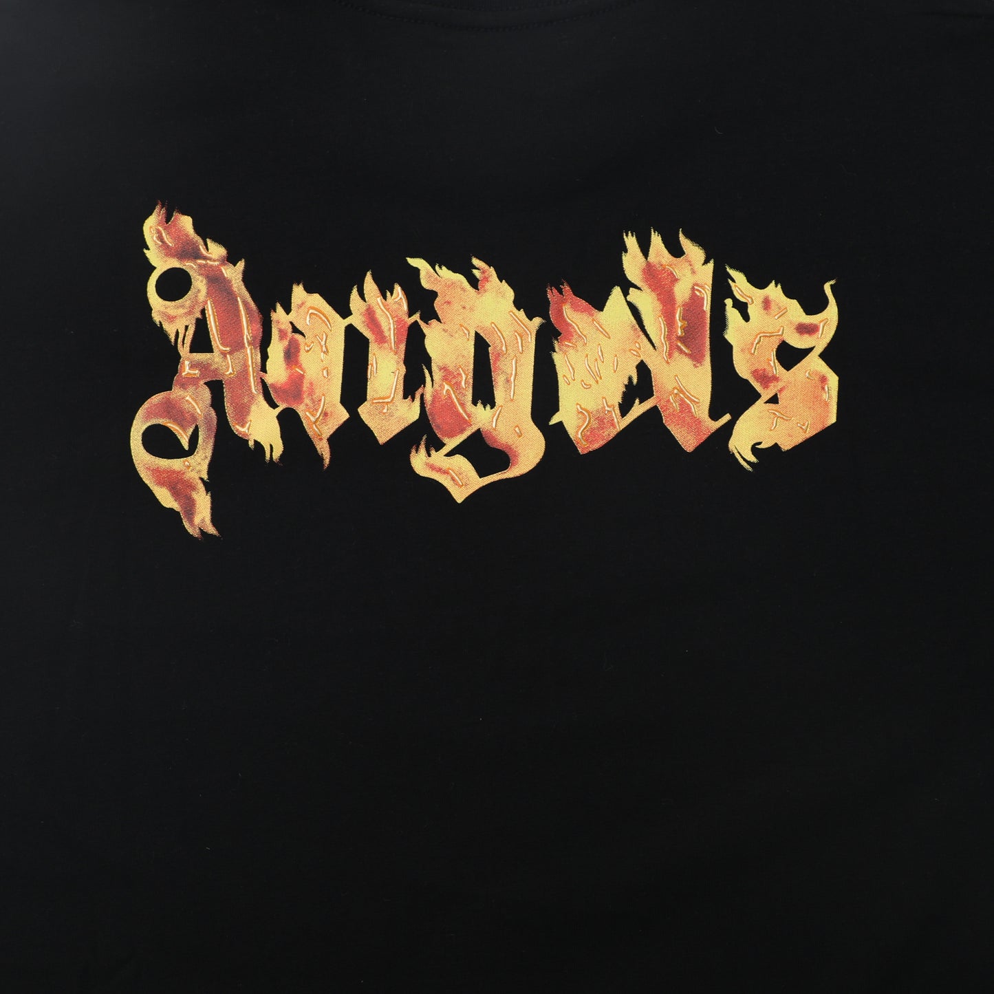 Palm Ang*ls Burning Logo T-shirt