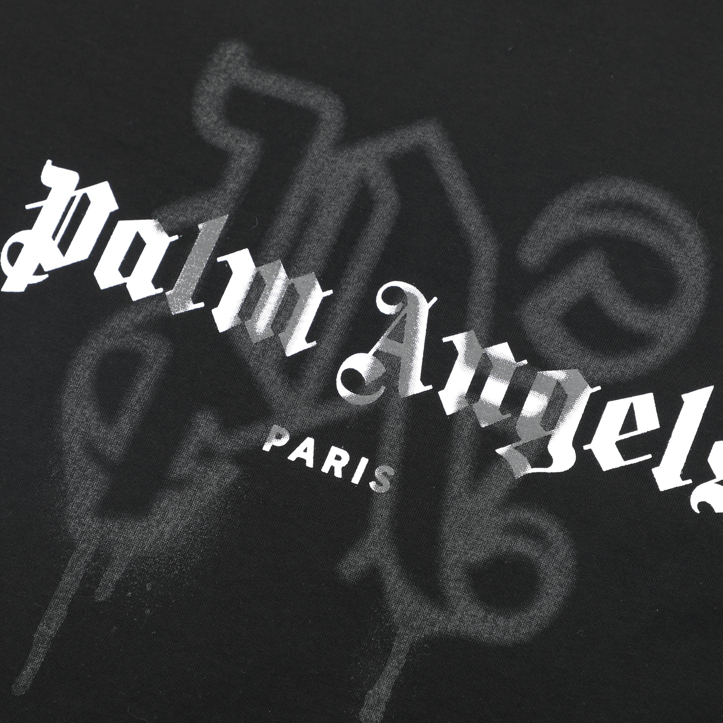 Palm Ang*ls Paris Monogram Spray T-shirt