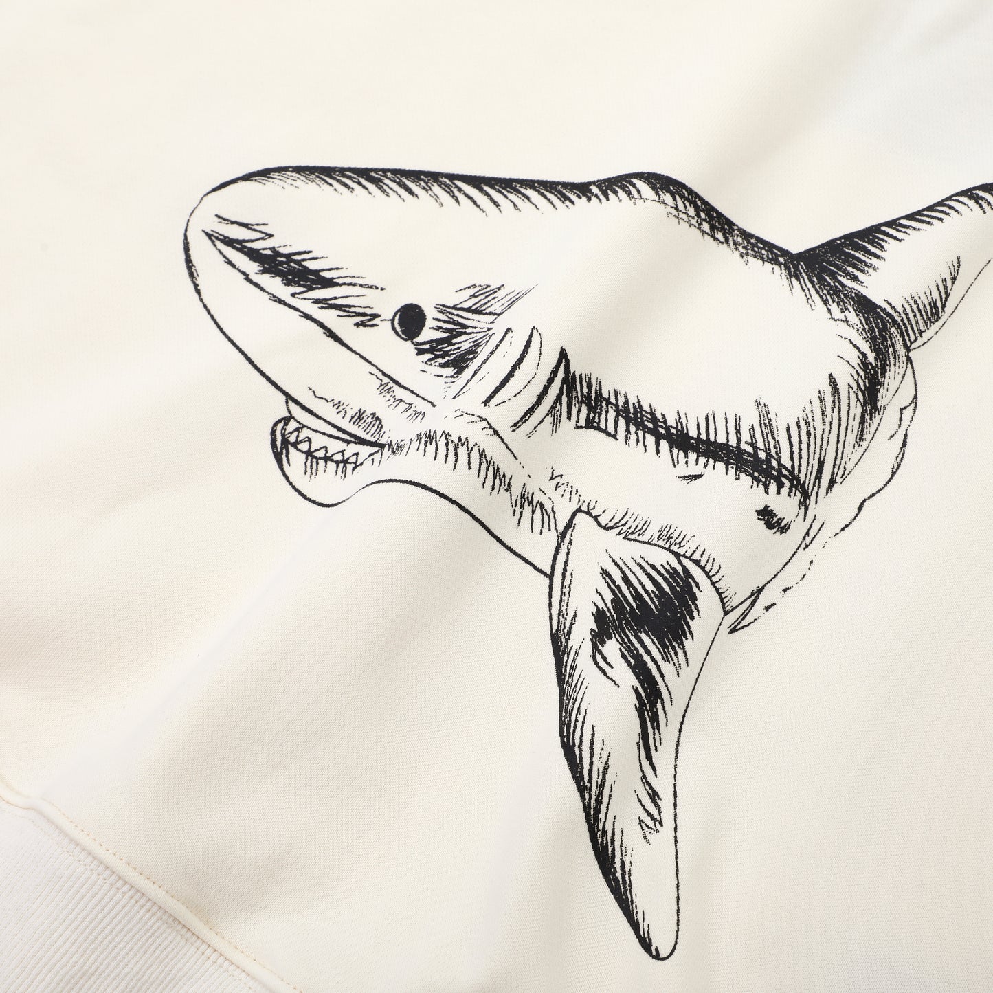 Palm Ang*ls Split Shark Hoodie