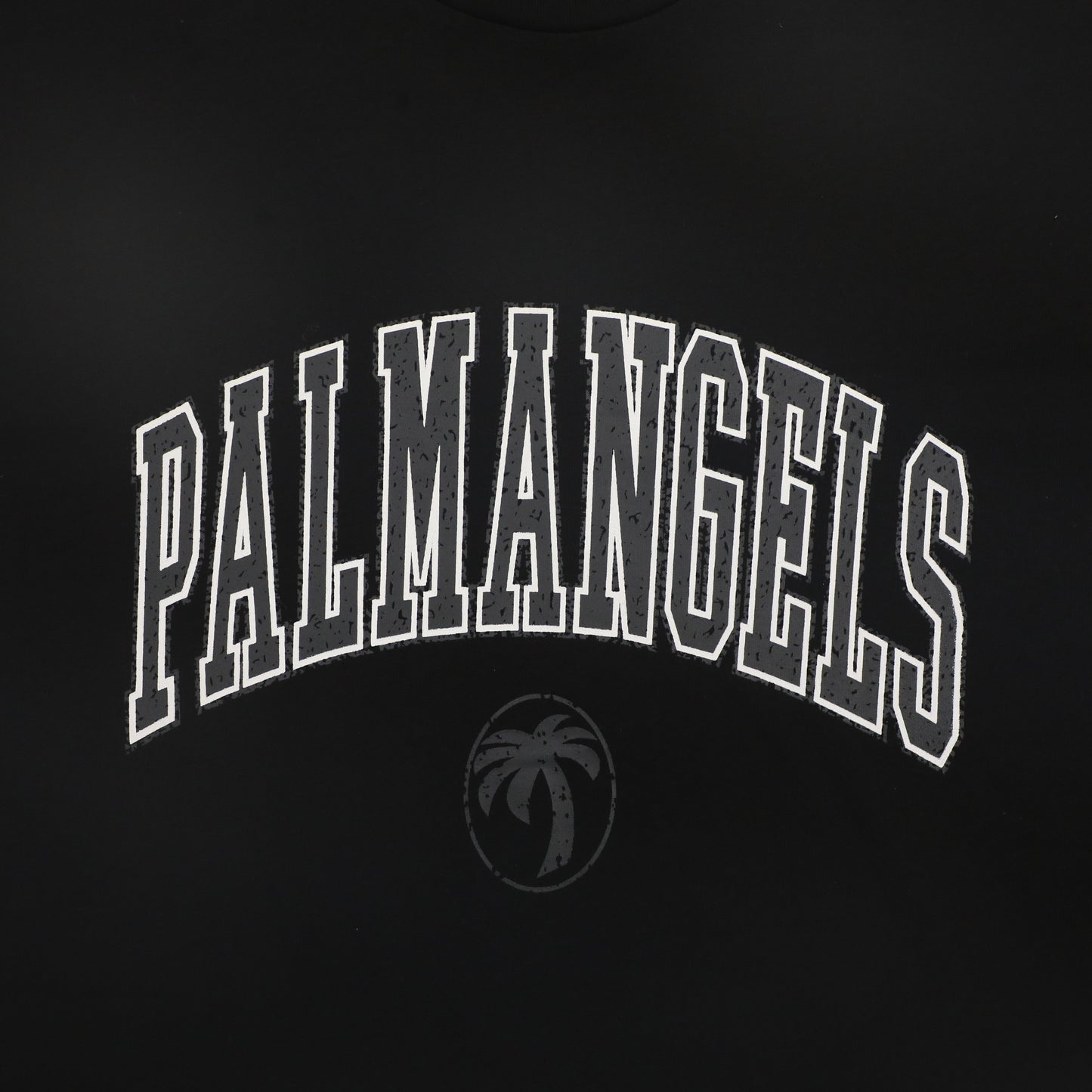 Palm Ang*ls College Slim T-shirt