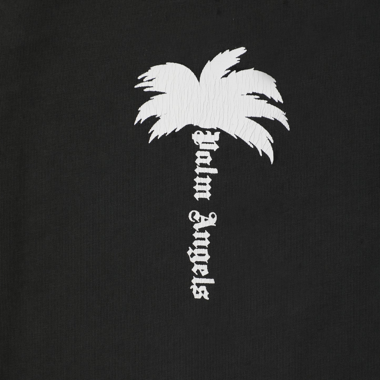 Palm Ang*ls The Palm T-shirt