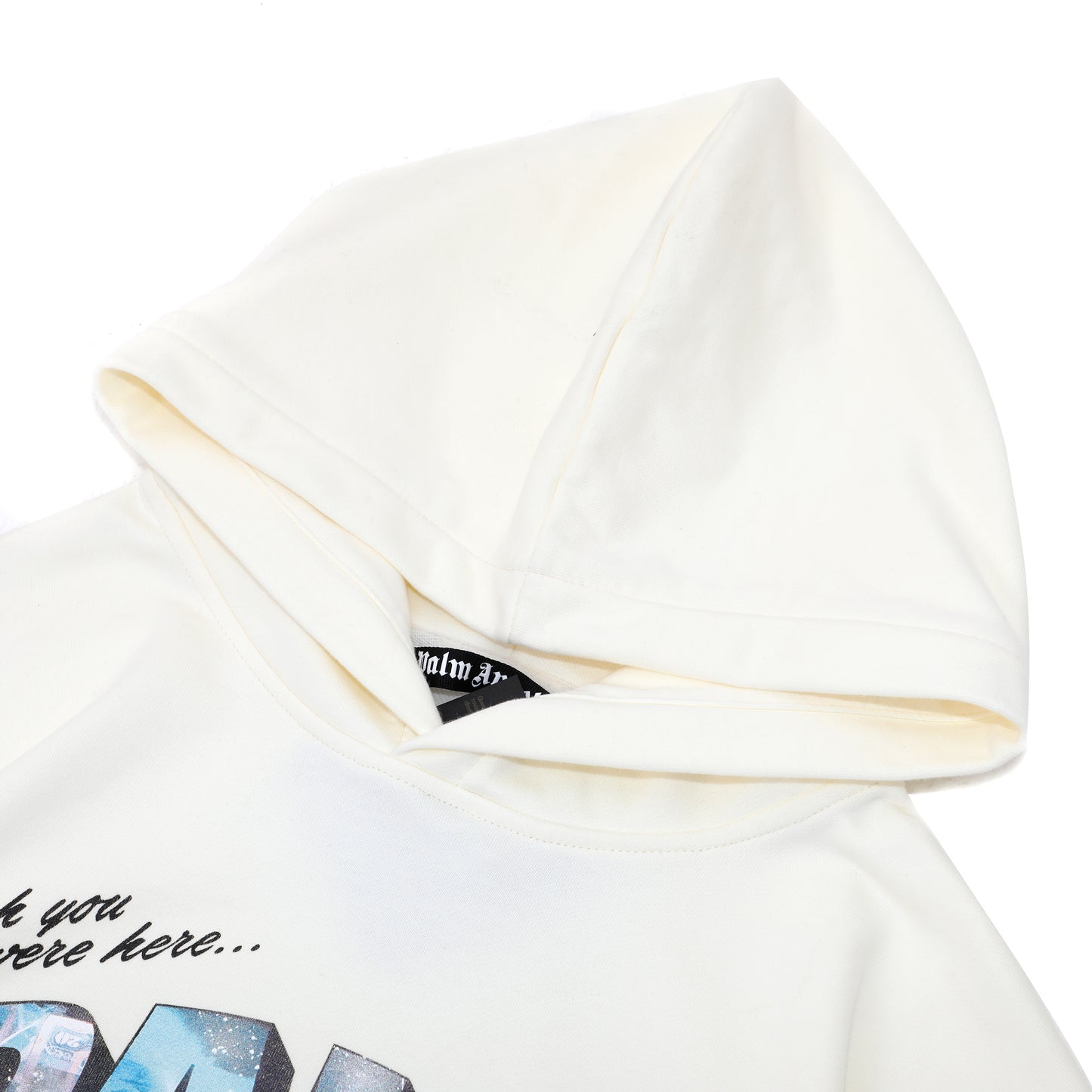 Palm Ang*ls Palm Sign Vintage Hoodie