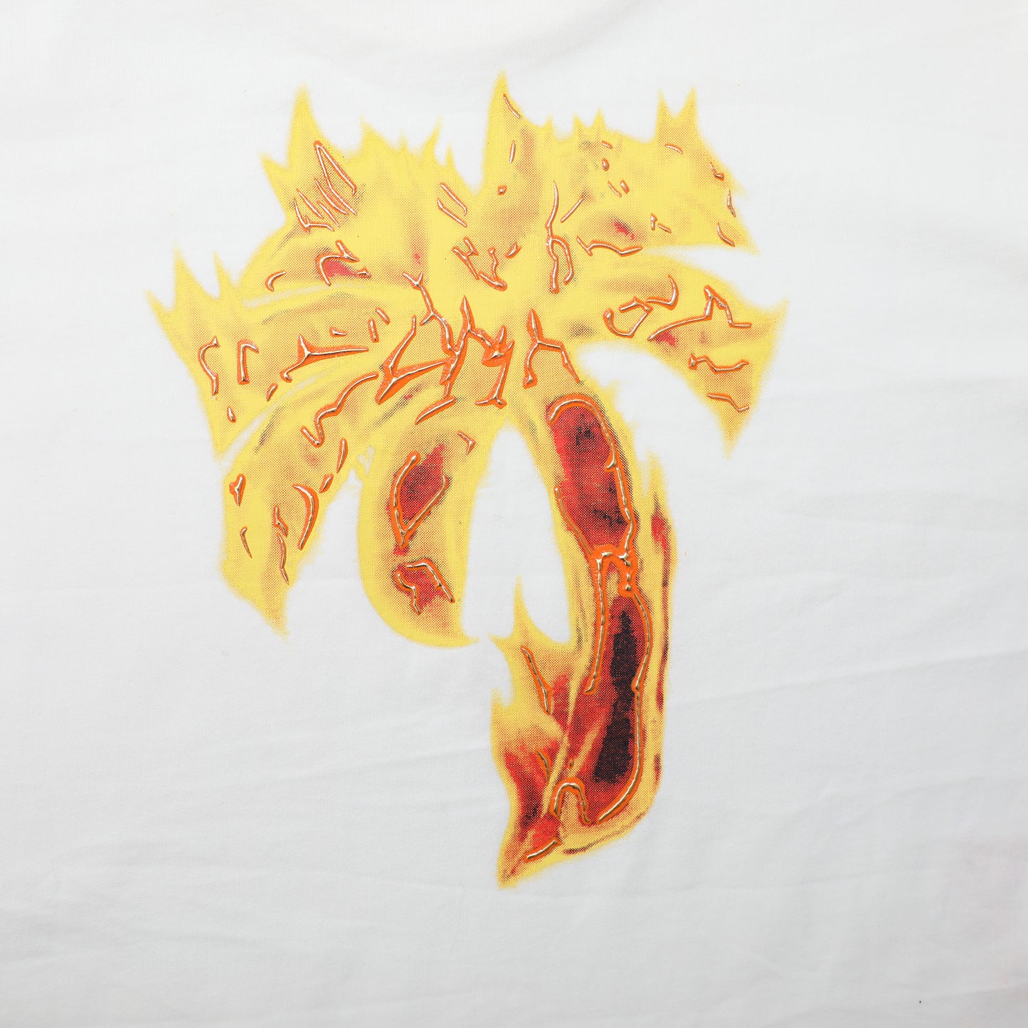 Palm Ang*ls Burning Palm Hoodie