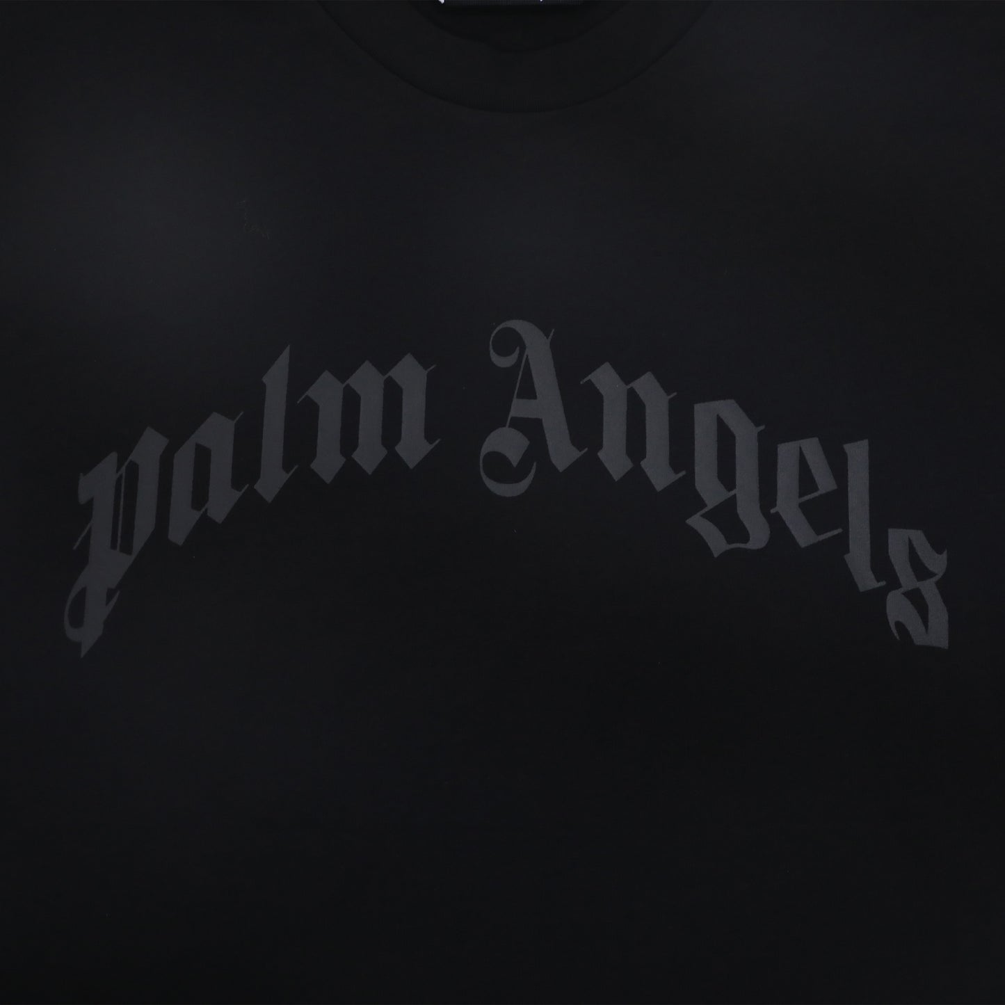 Palm Ang*ls Curved Logo Swim Trunks